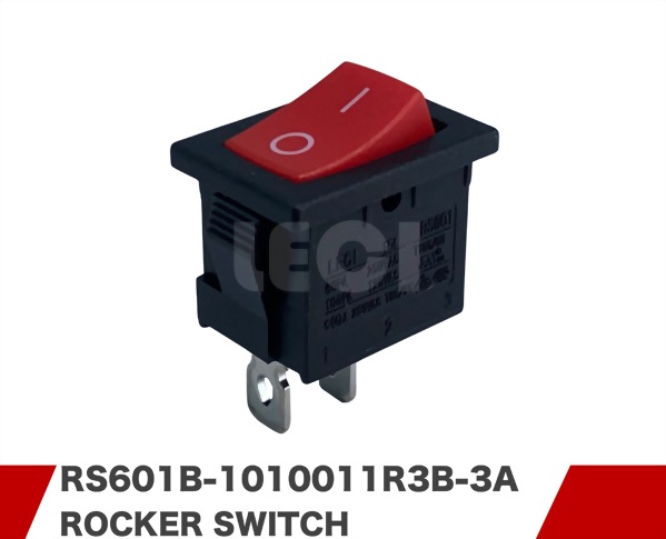 RS601B-1010011R3B-3A