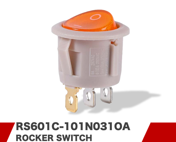 RS601C-101N031OA